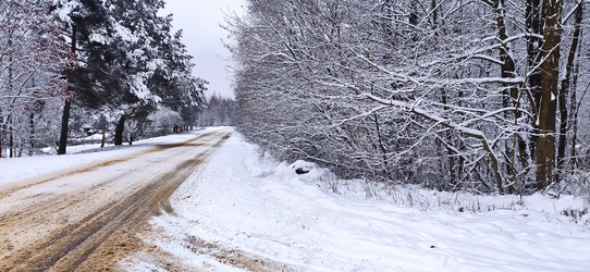 Similar image 21300907