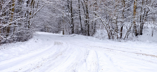 Similar image 21300909