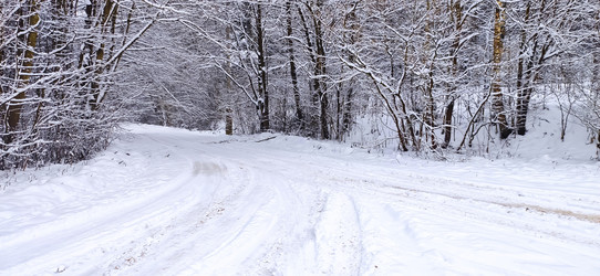 Similar image 21300911