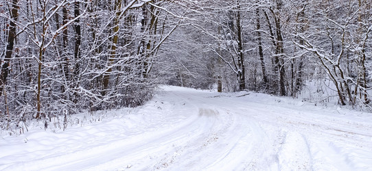 Similar image 21300912