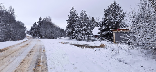 Similar image 21300914