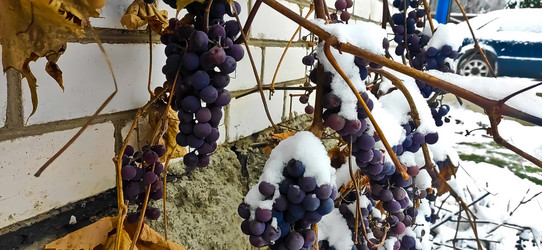 Similar image 21293477