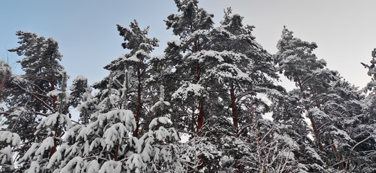 Similar image 21293478