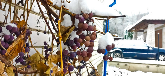 Similar image 21293547