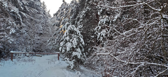 Similar image 21293548