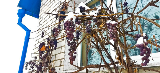 Similar image 21293549