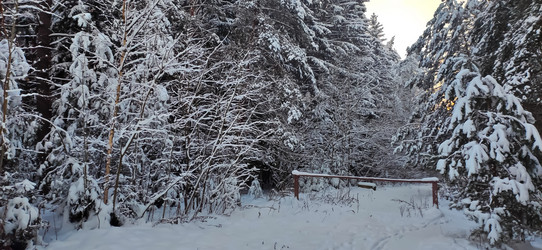 Similar image 21293550