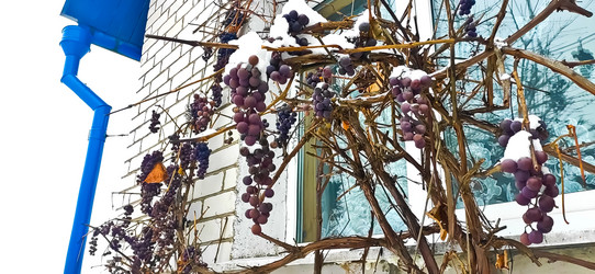 Similar image 21293551