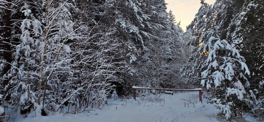 Similar image 21300917