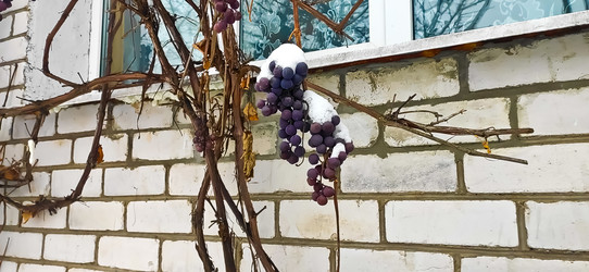 Similar image 21300918