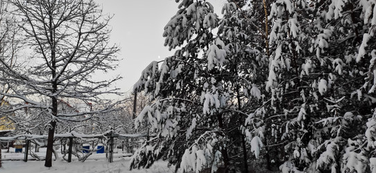 Similar image 21300919