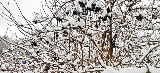 Similar image 21300920