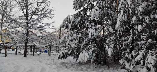 Similar image 21300921