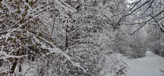 Similar image 21300922