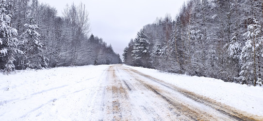 Similar image 21300925