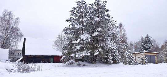 Similar image 21300930