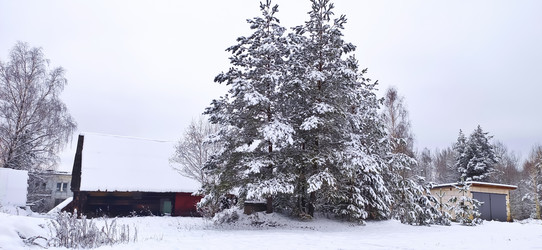 Similar image 21300931