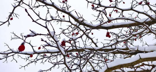 Similar image 21301048