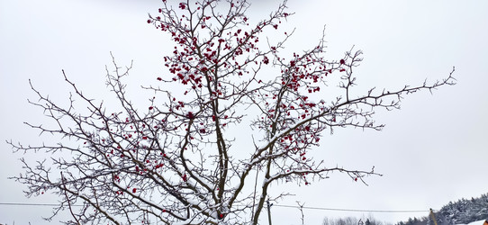 Similar image 21301052