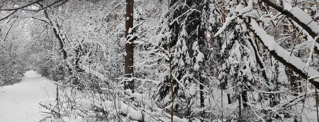 Similar image 21293480