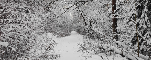 Similar image 21293481