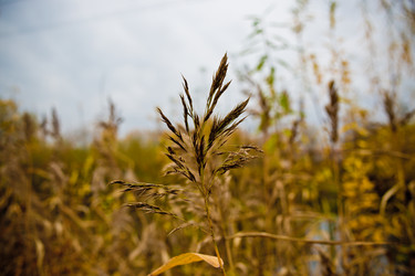 Similar image 21300475