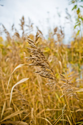 Similar image 21300477