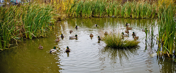 Similar image 21300478