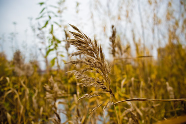 Similar image 21300480