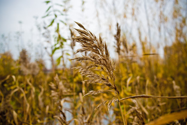 Similar image 21300481