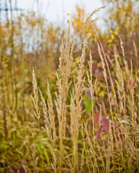 Similar image 21300482