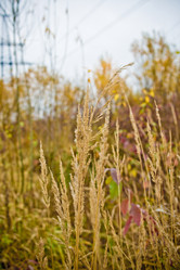 Similar image 21300932