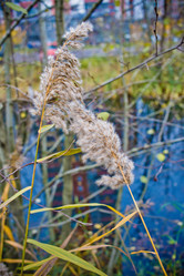 Similar image 21300934