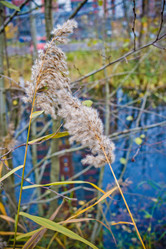 Similar image 21300935