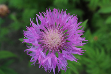 Similar image 21317136