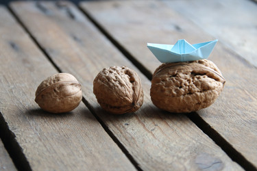 Similar image 21313931