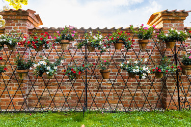 Similar image 21312859