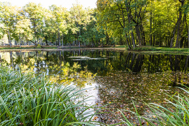 Similar image 21312868