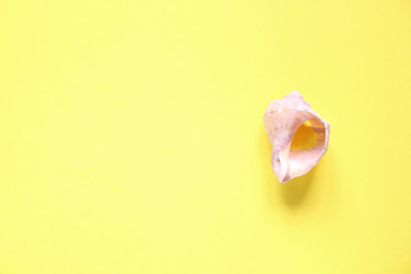 Similar image 21295336