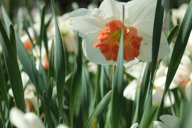 Similar image 21317245