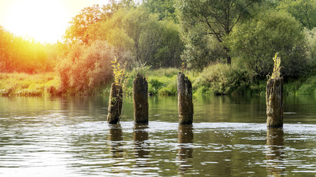 Similar image 21337517