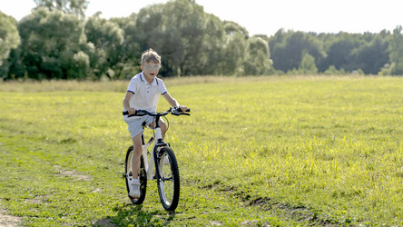 Similar image 21337520