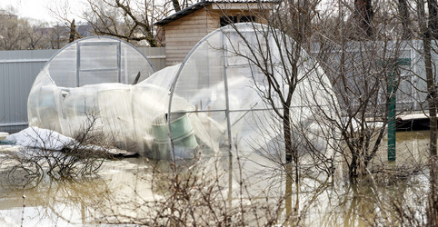 Similar image 21337526