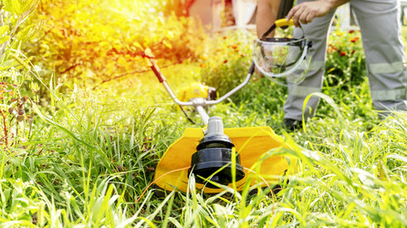 Similar image 21337527