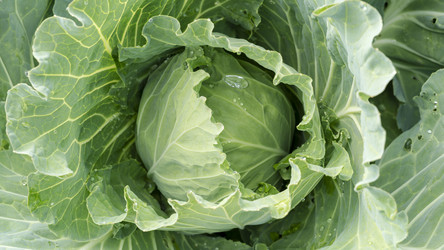 Similar image 21337735