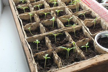 Similar image 21317252