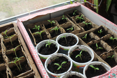 Similar image 21317253