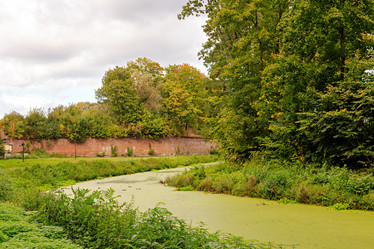 Similar image 21300080