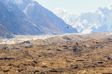 Similar image 21341604