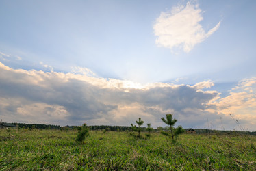 Similar image 21341492